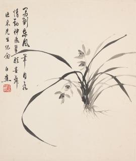 Bai Jiao - Orchid