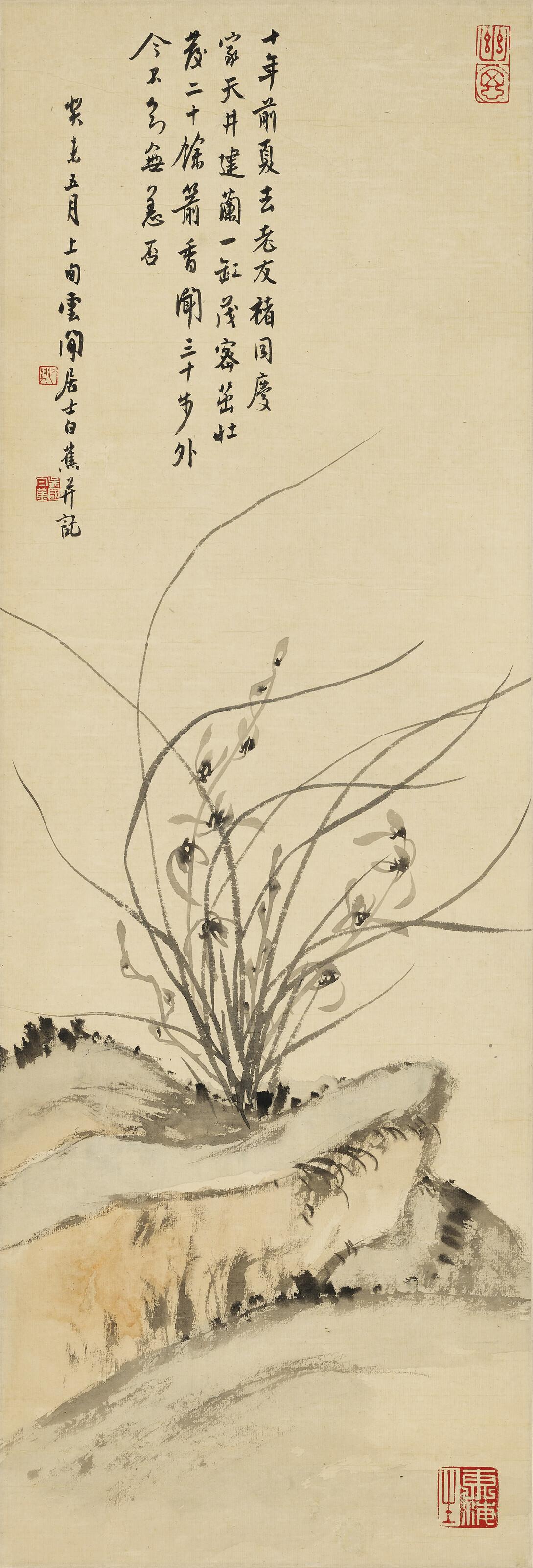 Bai Jiao - Orchids