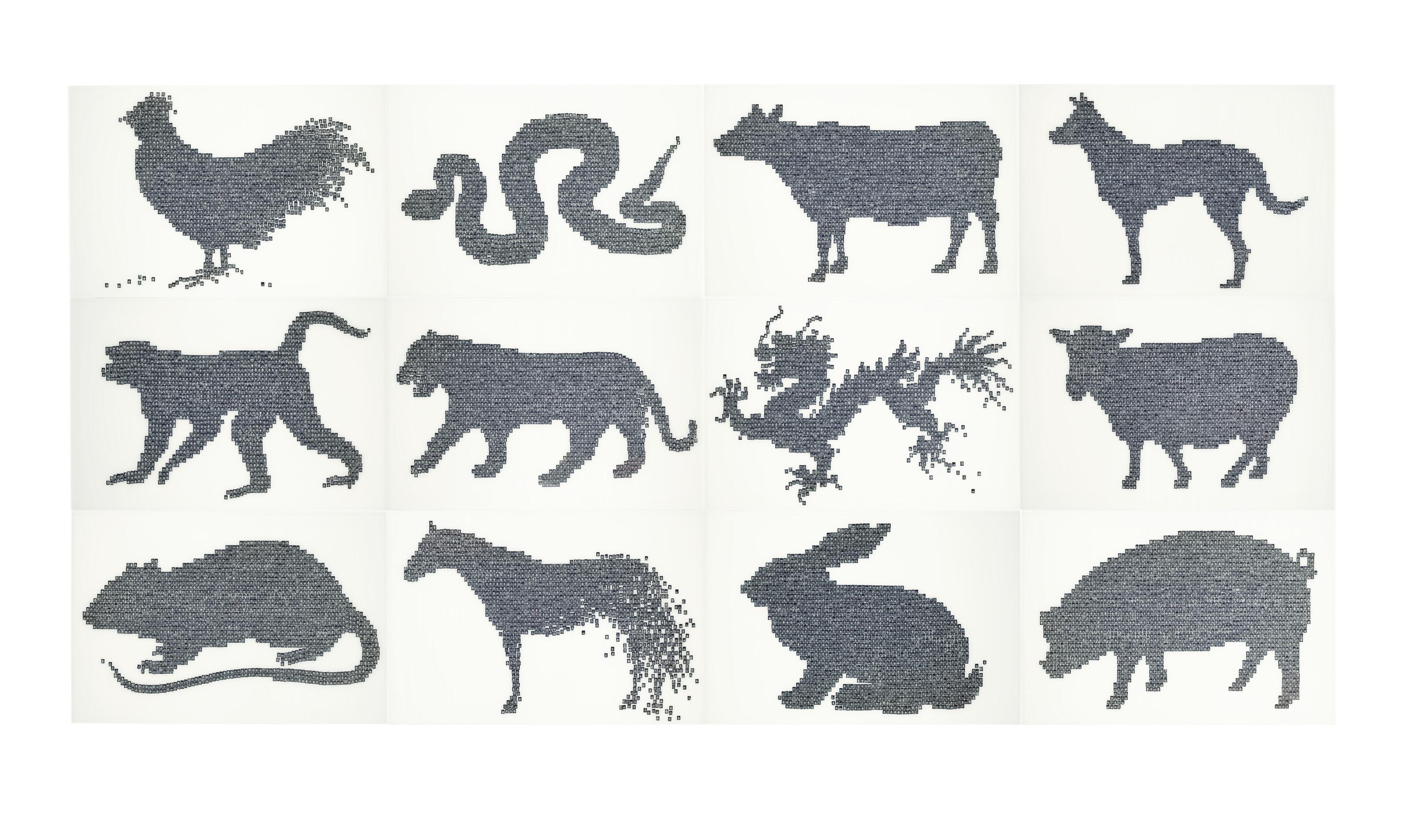 Bai Yiluo - Animal Destiny, 2005