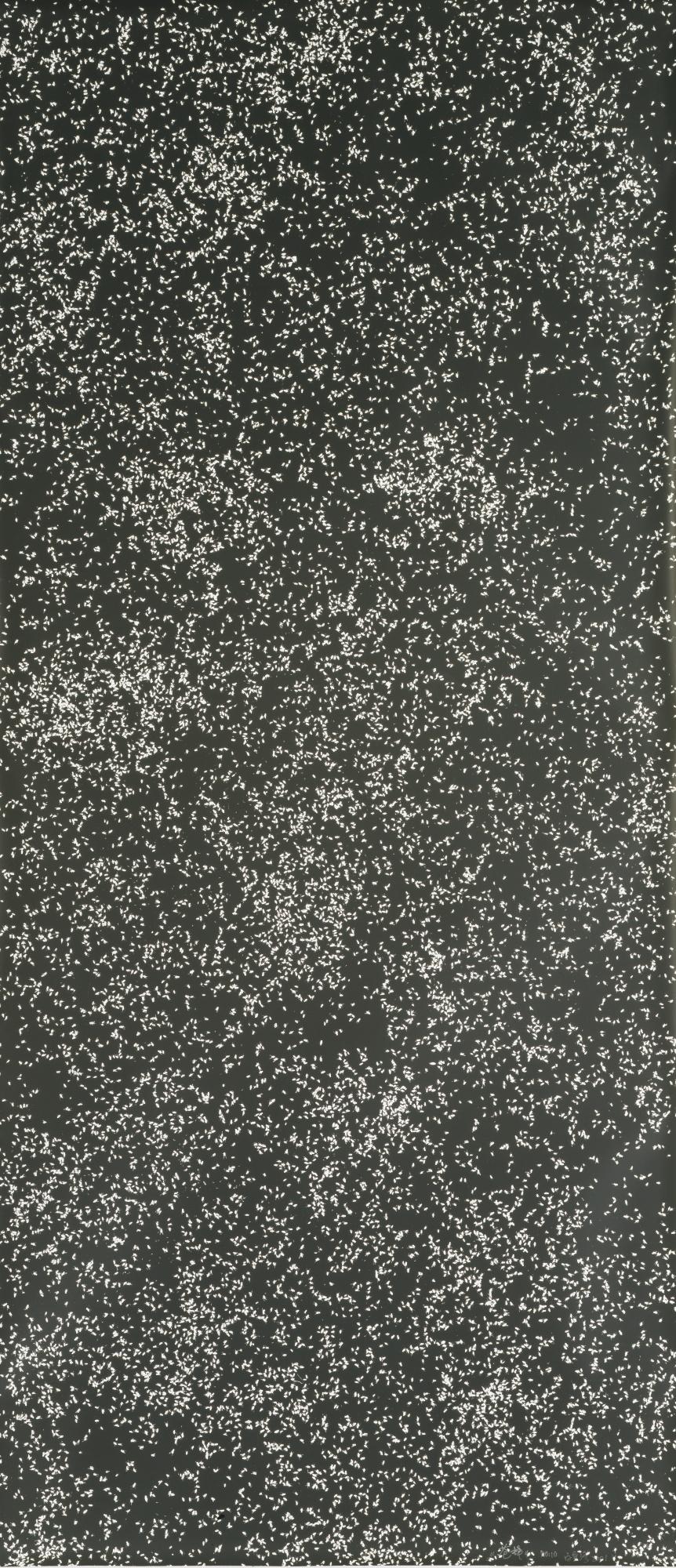 Bai Yiluo - Flies No. 10