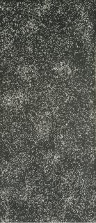 Bai Yiluo - Flies No. 10