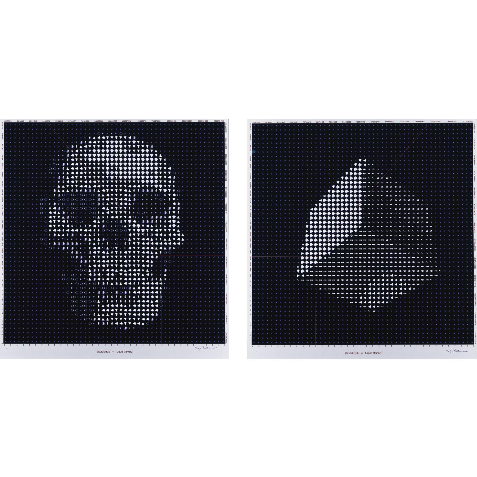 Baiju Partha - Untitled