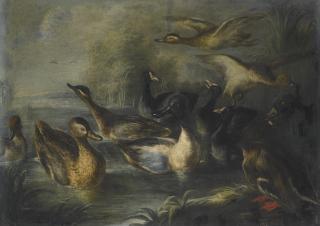 Baldassare De Caro - River Landscape With Ducks