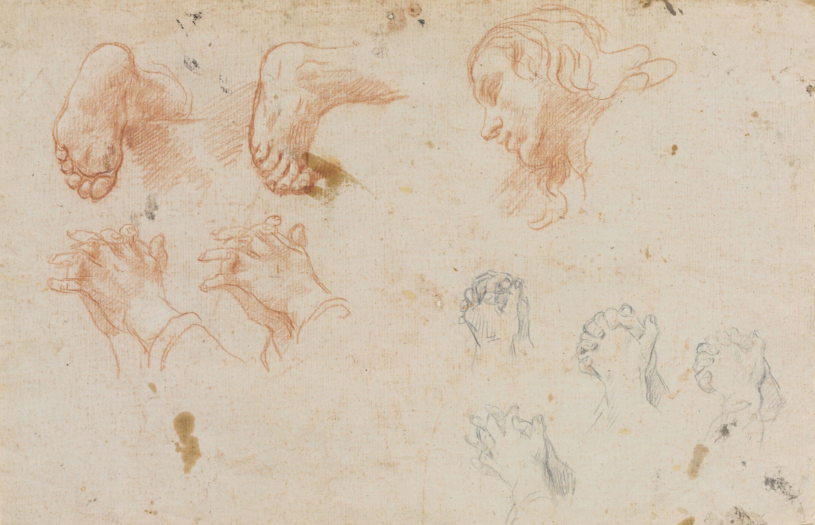 Baldassare Franceschini, Il Volterrano - Studies of hands, feet and a head ( recto ); Study of a bearded man and a hand ( verso )