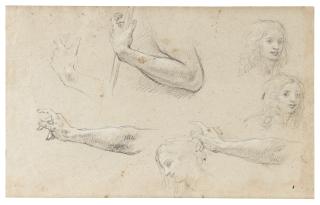 Baldassare Franceschini - Recto: Studies Of A Hand Holding A Staff, Two Studies Of The Head Of A Young Man And A Woman In Profile Verso: Studies Of A Young Boy, With Subsidiary Studies Of Two Hands