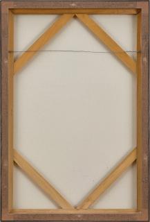 Baldur Helgason - Man Interrupted by an Ostrich in the Pink Room