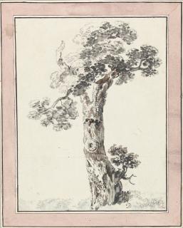 Balthasar Anton Dunker - 3 Bll.: Landschaft mit altem Turm (2) – Baumstudie