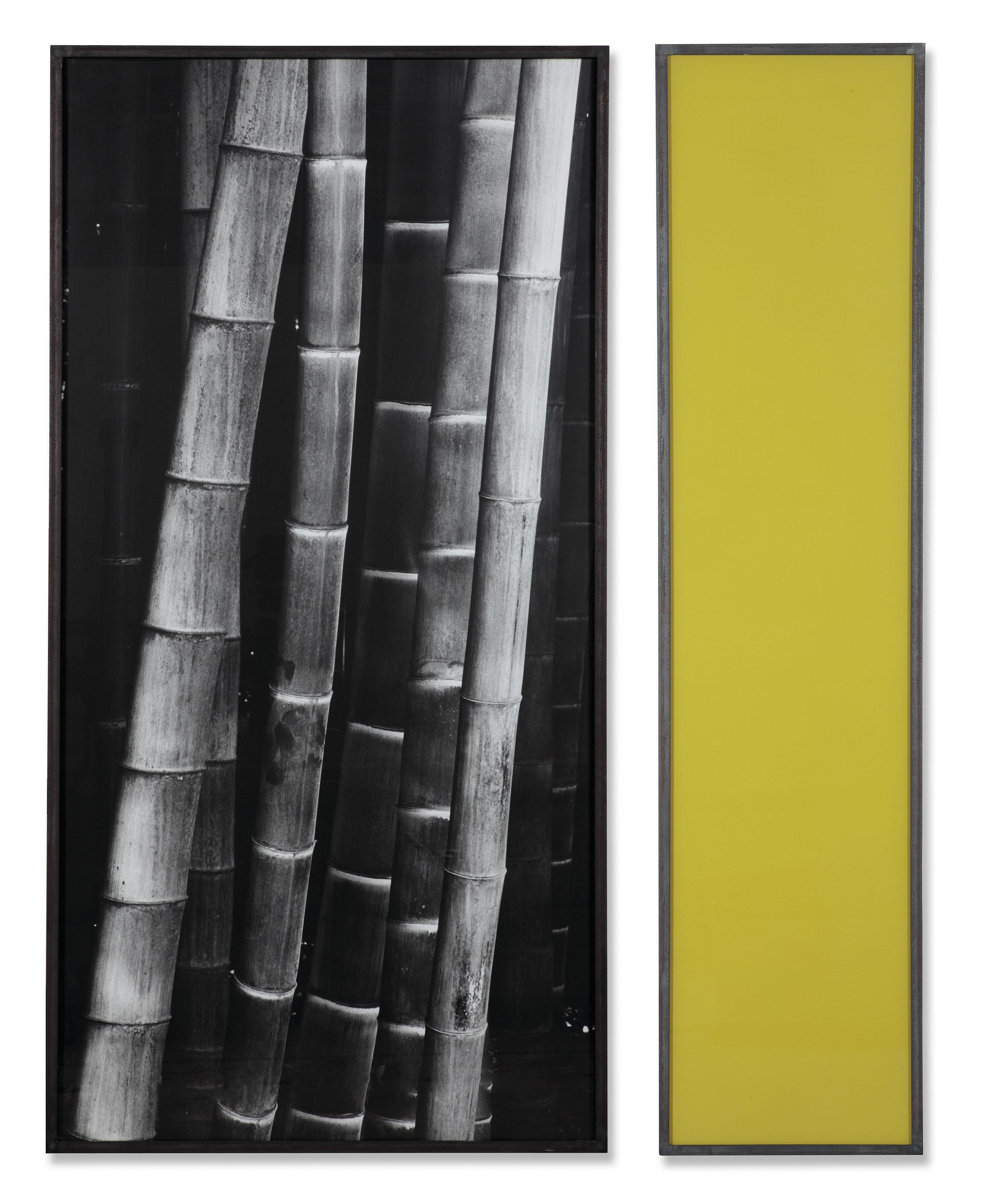 Balthasar Burkhard - Bambus (Bamboo)