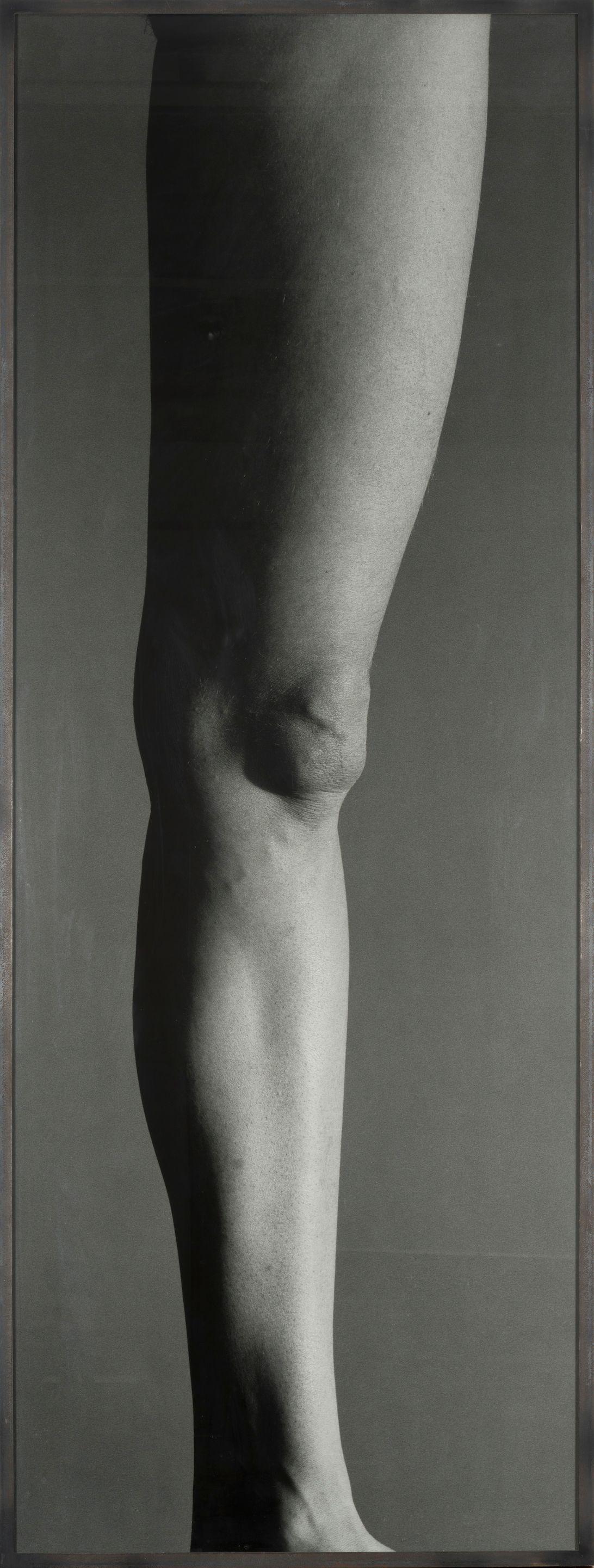 Balthasar Burkhard - Jambe