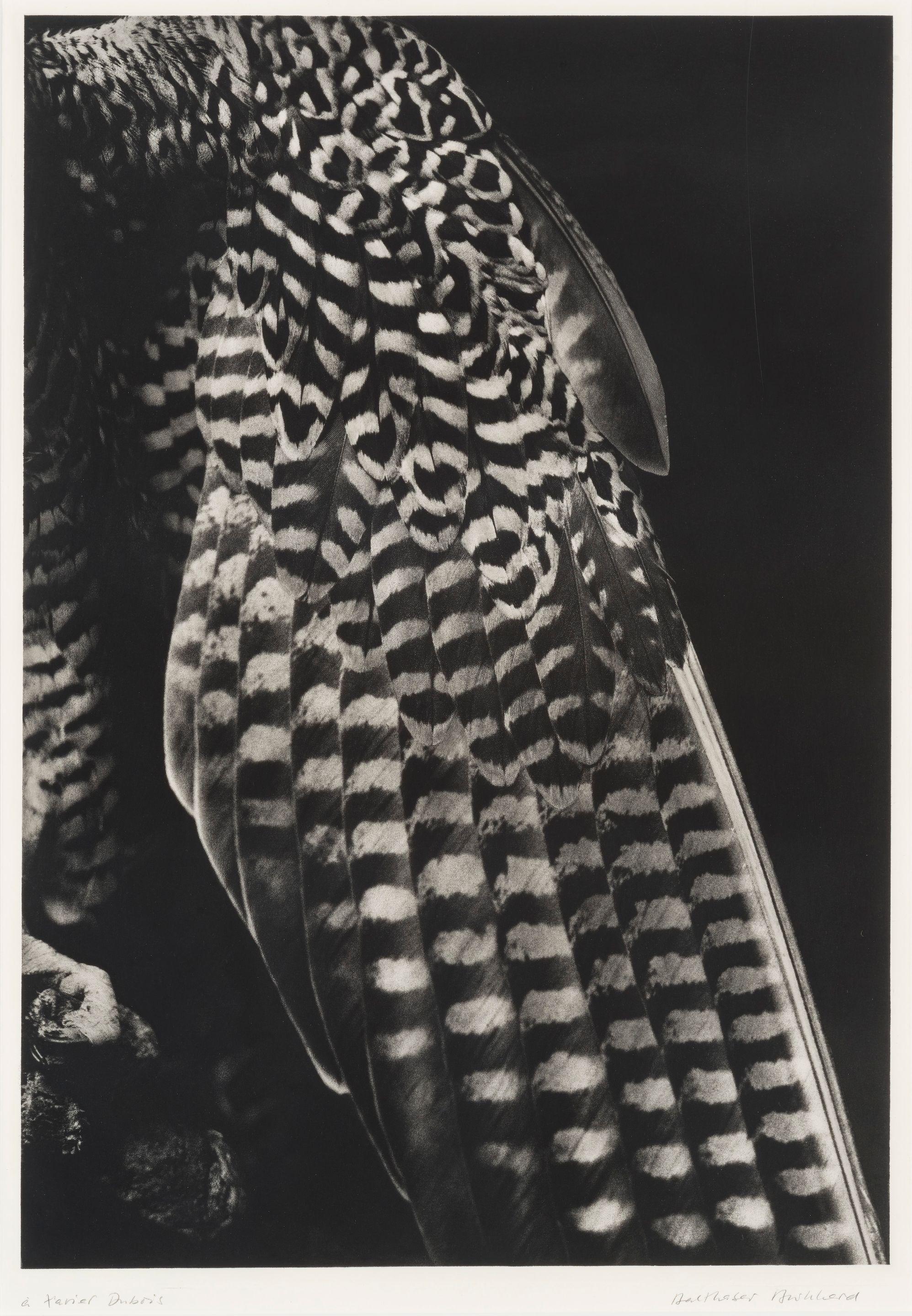 Balthasar Burkhard - La robe de la fiancée, 2001