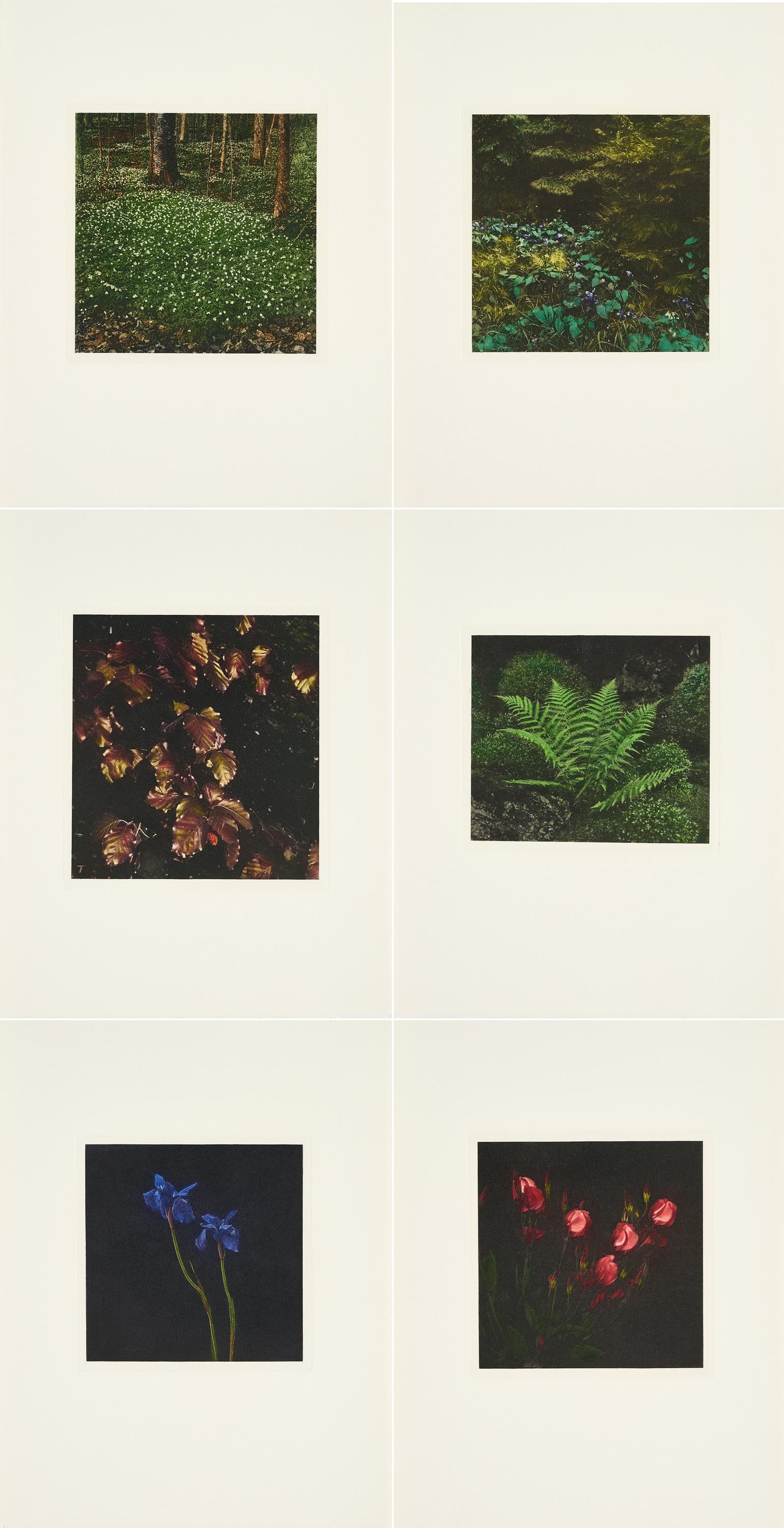 Balthasar Burkhard - Nature Morte.