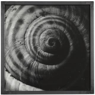 Balthasar Burkhard - Spirale (Spiral)