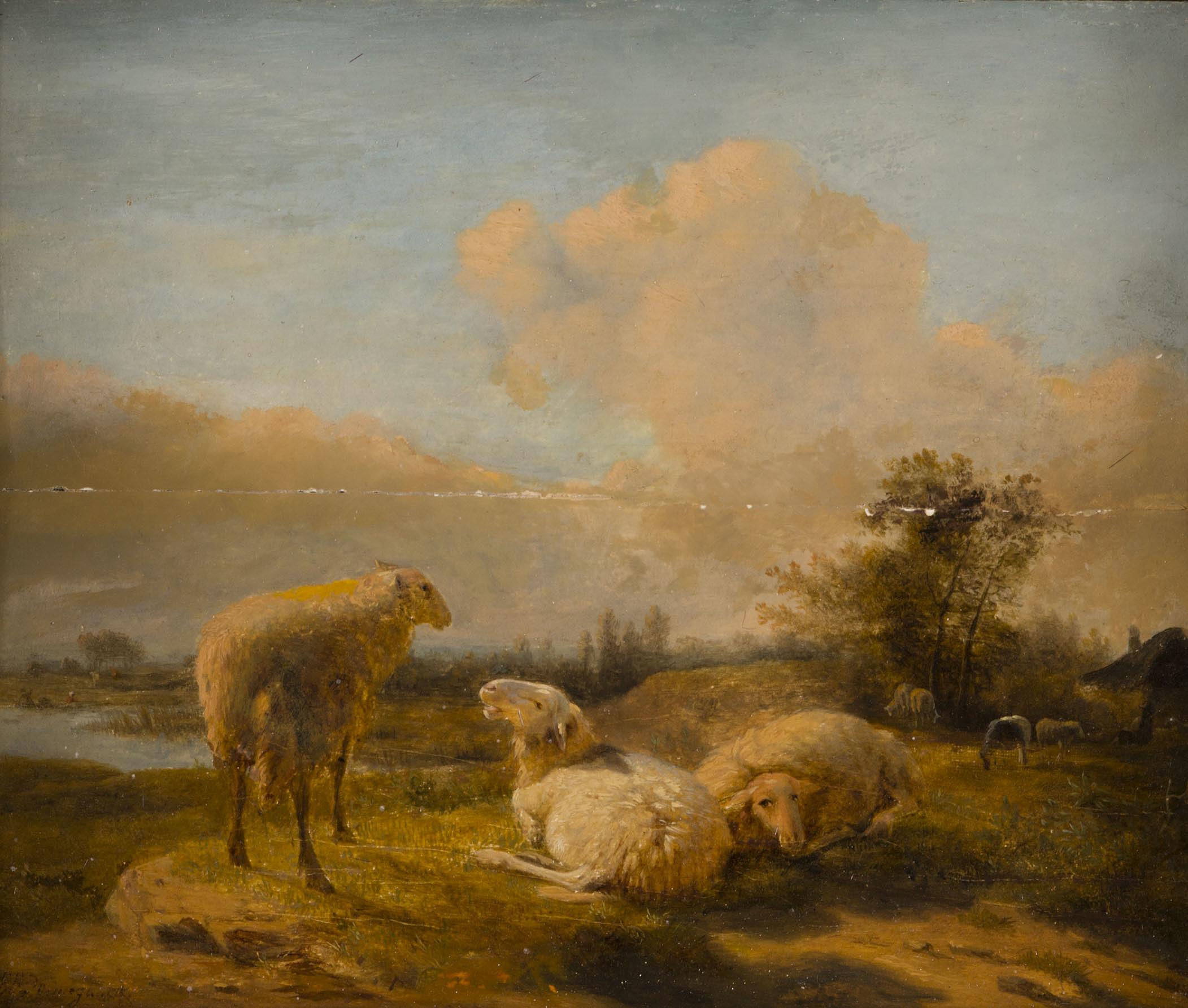 Balthasar Paul Ommeganck - Sheep.