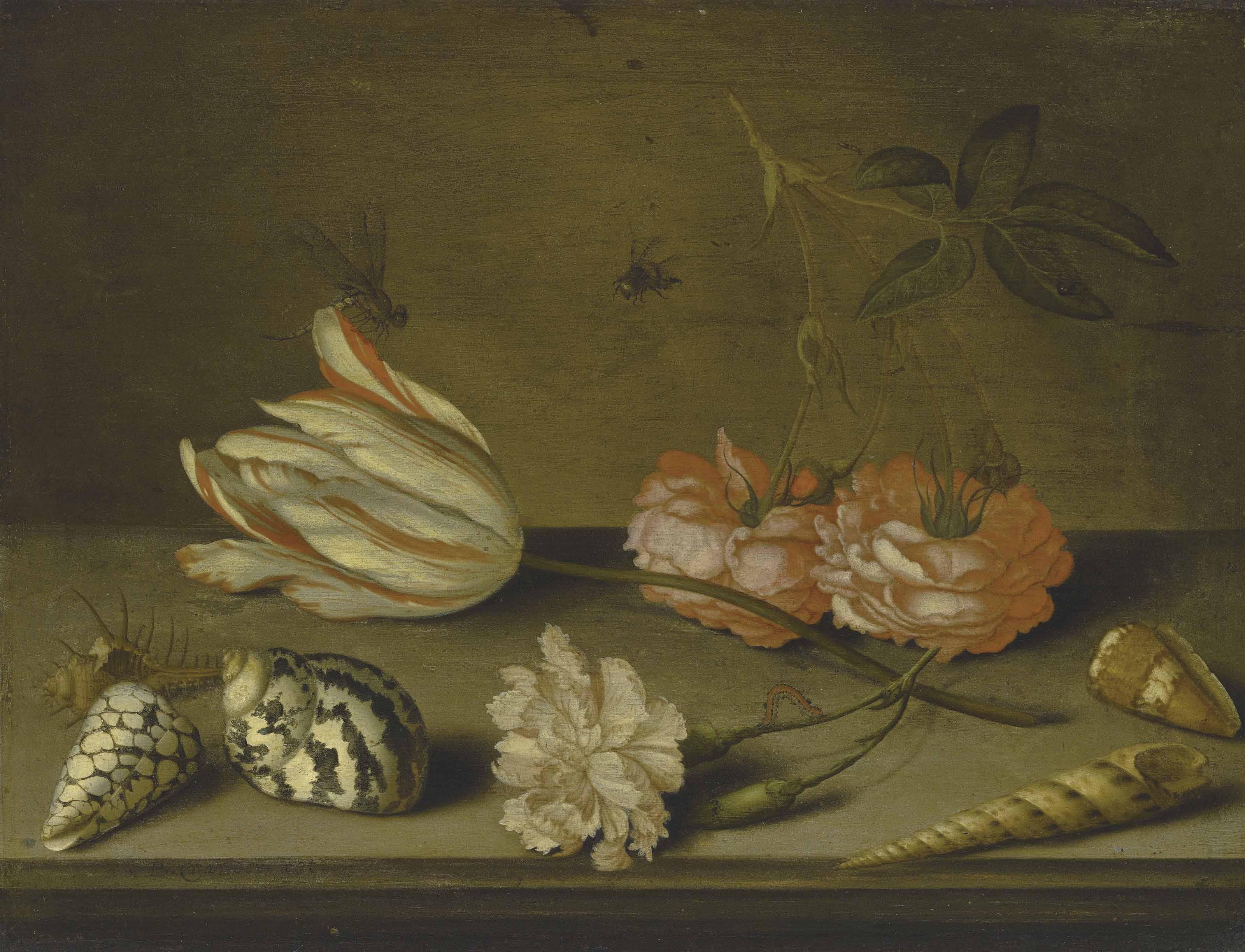 Balthasar Van Der Ast - A Semper Augustus tulip, a carnation and roses, with shells and insects, on a ledge