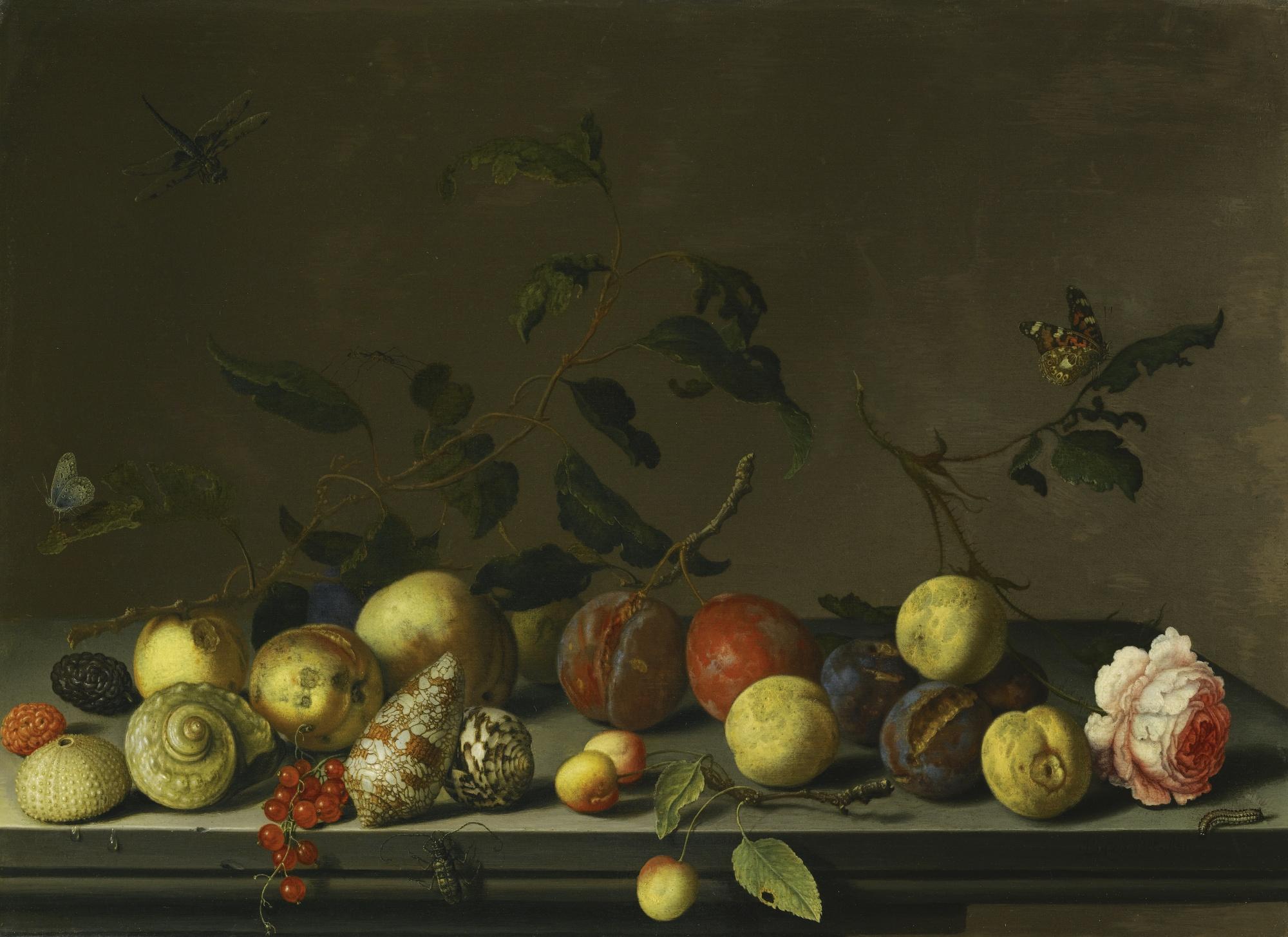 Balthasar Van Der Ast - A Still Life Of Fruit And Shells With A Rose And Various Insects Upon A Stone Ledge