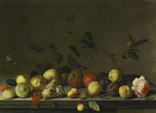 Balthasar Van Der Ast - A Still Life Of Fruit And Shells With A Rose And Various Insects Upon A Stone Ledge