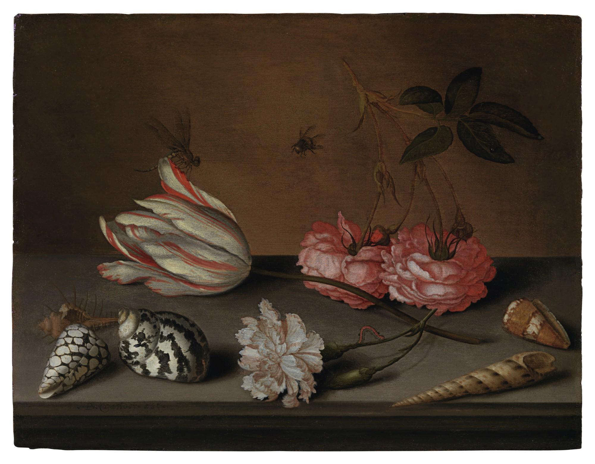 Balthasar van der Ast - A tulip, a carnation and roses, with shells and insects, on a ledge