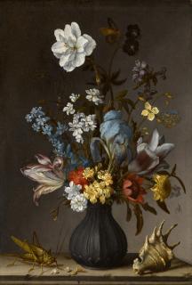 Balthasar van der Ast - Flowers in a vase on a stone ledge with a sea shell and a grasshopper