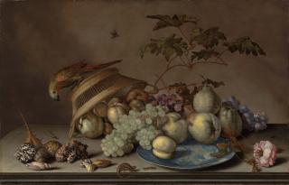 Balthasar van Der Ast - Pears, grapes and a peach on a porcelain platter, with apples, a rose, shells, a dragonfly, a caterpillar and a lizard on a stone ledge, with a parrot on an upturned woven basket