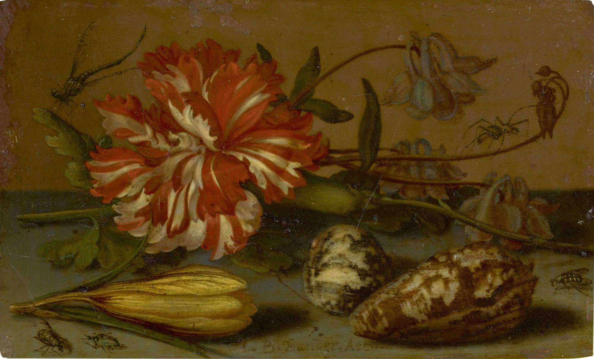 Balthasar Van Der Ast - Still Life With A Carnation And A Crocus, Two Shells, And A Dragonfly, Spider And Flies, All On A Stone Ledge