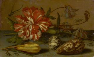 Balthasar Van Der Ast - Still Life With A Carnation And A Crocus, Two Shells, And A Dragonfly, Spider And Flies, All On A Stone Ledge