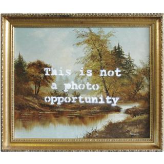 Banksy - Ruined Landscape