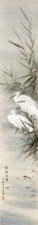 Bao Shaoyou - Egrets