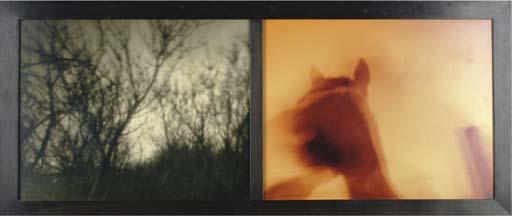 Barbara Ess - Untitled, 1989, a diptych