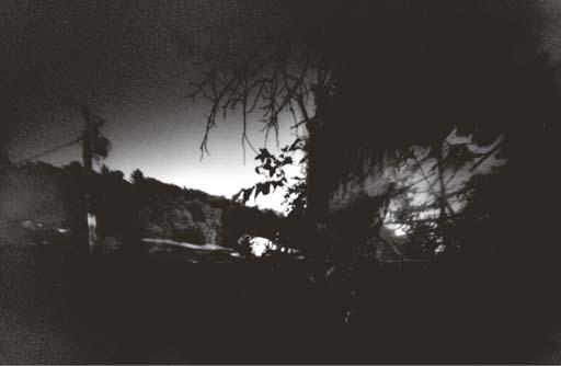 Barbara Ess - Untitled