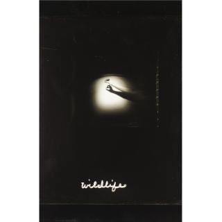 Barbara Ess - Wildlife