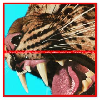 Barbara Kruger - Untitled (Another artist, Another exhibition, Another gallery, Another magazine, Another review, Another career, Another life)