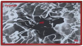 Barbara Kruger - Untitled (Perpetual Still Life)