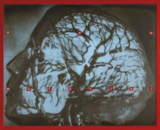 Barbara Kruger - Untitled (Raw Material)