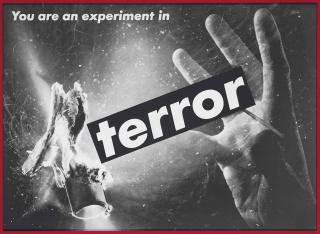 Barbara Kruger - Untitled (You Are An Experiment In Terror)