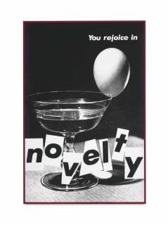 Barbara Kruger - Untitled (You Rejoice in Novelty)