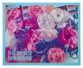 Barbara Kruger - Untitled (You Will Never Wake Up From This Beautiful Dream)