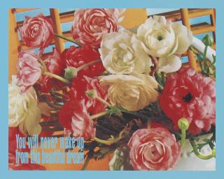 Barbara Kruger - Untitled (You Will Never Wake Up from this Beautiful Dream)