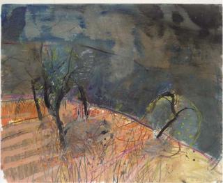 Barbara Rae, R.A., R.S.A., R.S.W. - Almond Grove - Field At Mecina Fondales