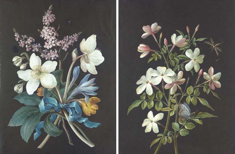 Barbara Regina Dietzsch - A bouquet of flowers; and Two stems of jasmine with a butterfly and a horsefly