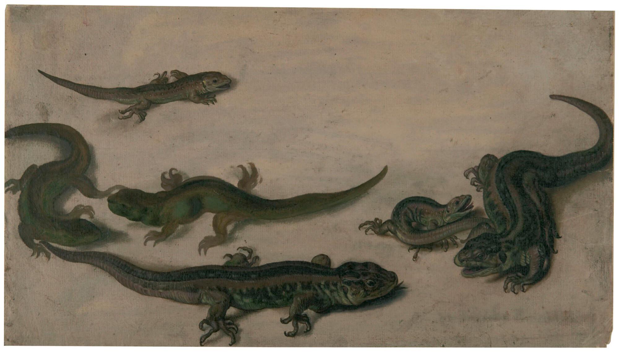 Barbara Regina Dietzsch - Sechs Eidechsen.