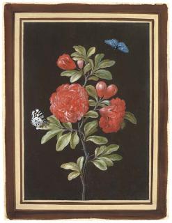 Barbara Regina Dietzsch - Still life with a rose and two butterflies