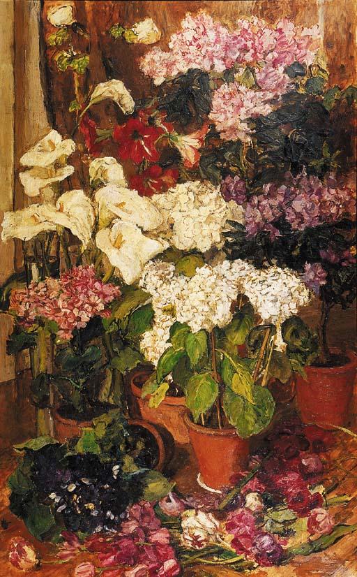 Barbara Van Houten - A still life with hydrangea, amaryliss and rhododendrons in terracotta pots
