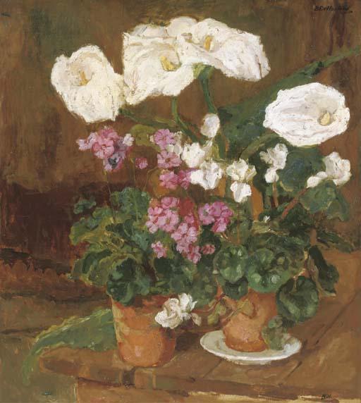 Barbara van Houten - Potted plants