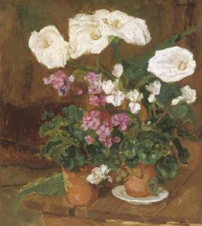 Barbara van Houten - Potted plants