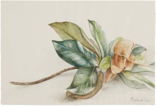 Barkley L. Hendricks - Magnolia #4