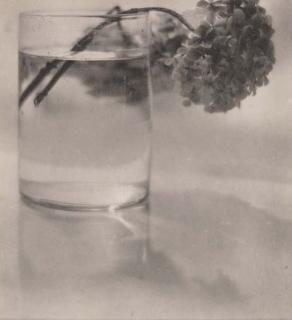 Baron Adolph de Meyer - Selected images from Camera Work, October 1908; and October 1912