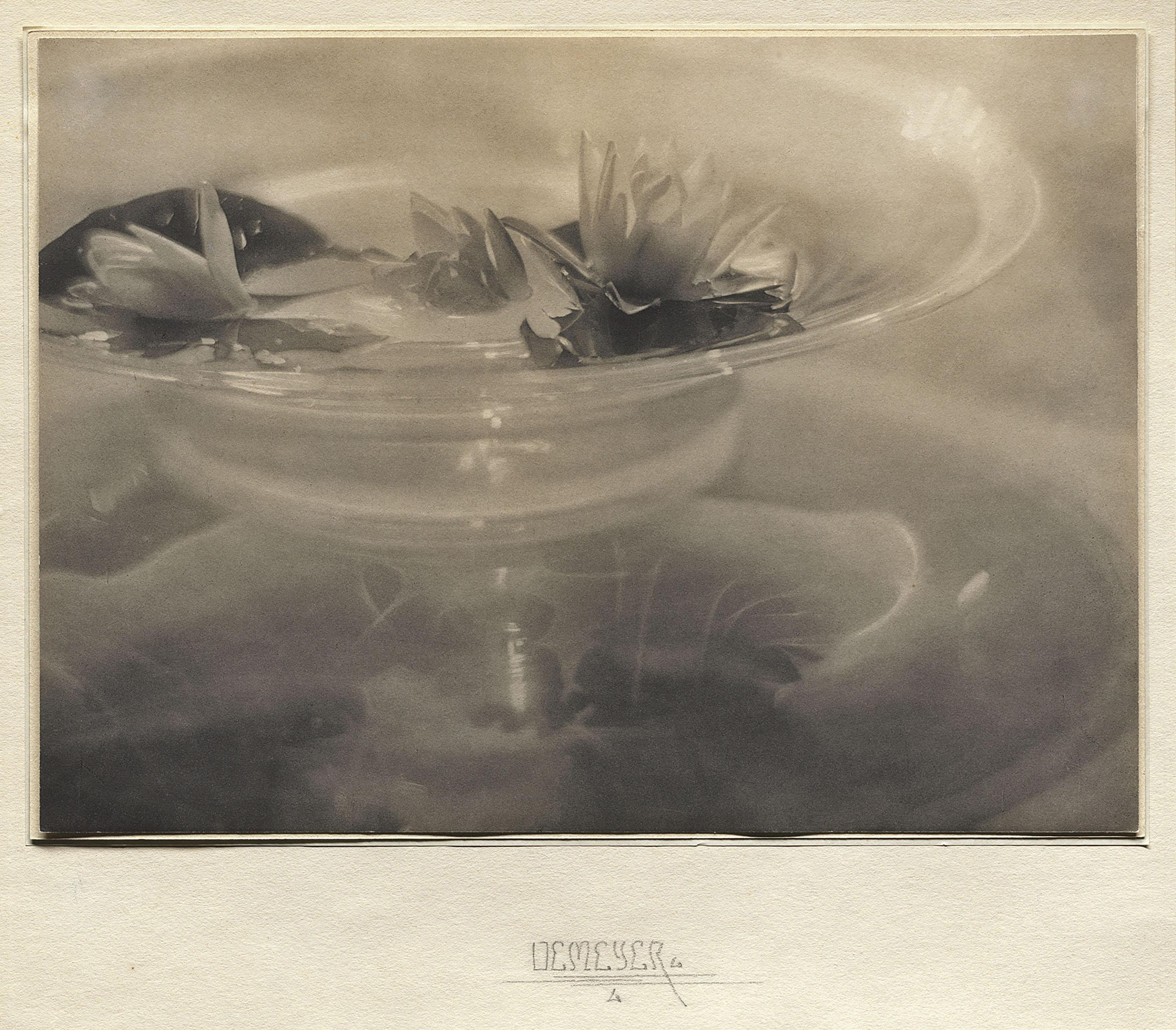 Baron Adolph De Meyer - Water Lilies