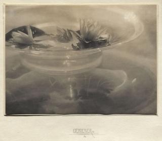 Baron Adolph De Meyer - Water Lilies