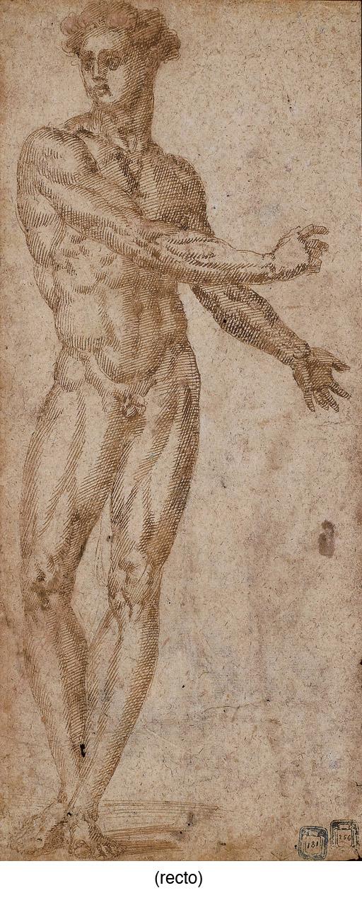 Bartolomeo Bandinelli - Study of a male nude (recto); Partial study of a male nude holding a sickle (verso)