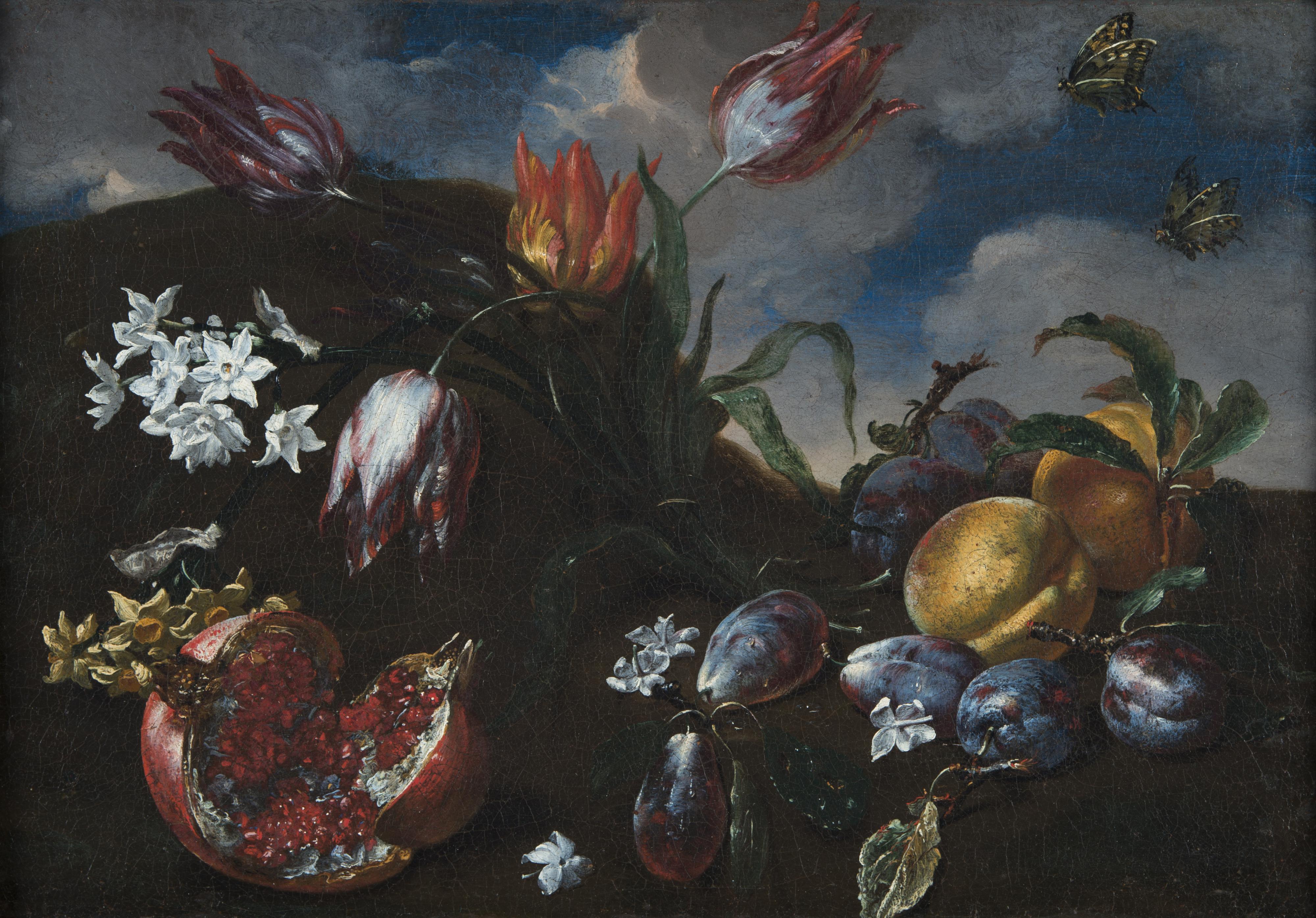 Bartolomeo Bimbi - Natura morta con fiori, frutta e farfalle